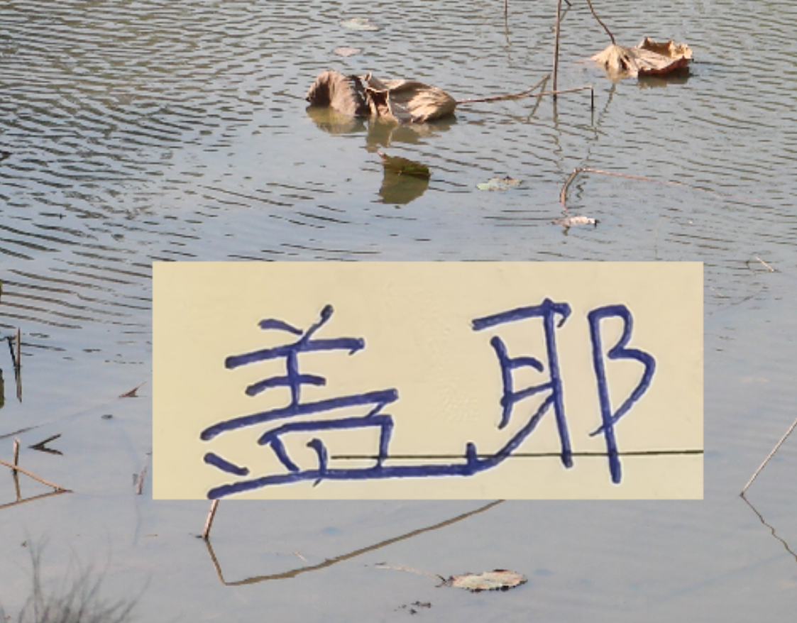 开云APP-像一堵墙的盖伊 会是申花的卢卡库 还是升级版马莱莱